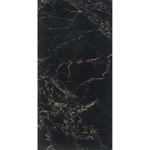 Çanakkale Seramik 60X120 Mpb-R370 Portoro Siyah Parlak (I)